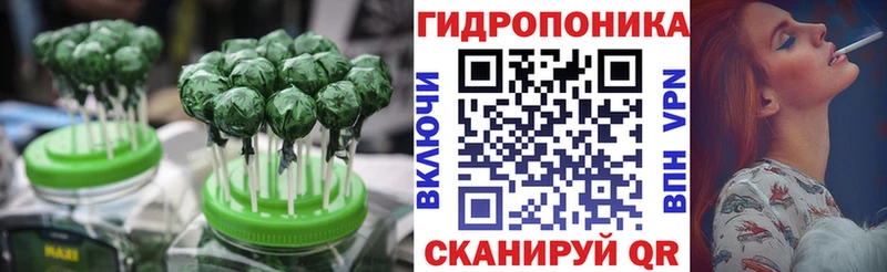 где найти наркотики  Железногорск  Cannafood конопля 