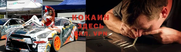 стаф Вязники