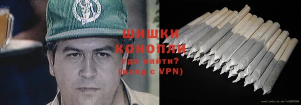 стаф Вязники