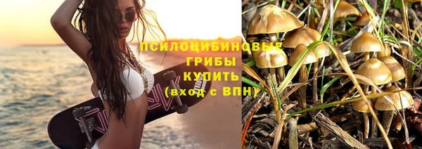 крисы Волоколамск