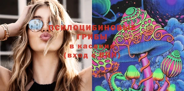 стаф Вязники