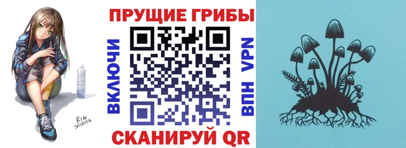 Псилоцибиновые грибы мицелий Железногорск